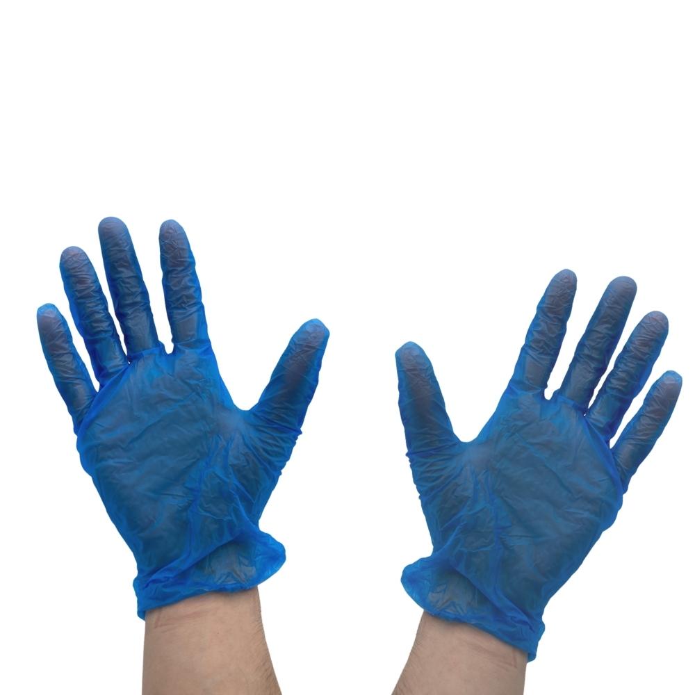 Blue Powder-Free Vinyl Gloves - 5 Mil - Large - 36000 Gloves/Half Pallet