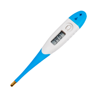 Oral Thermometer