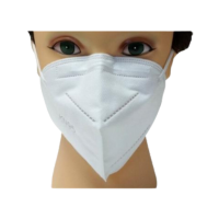 KN95 Face Masks